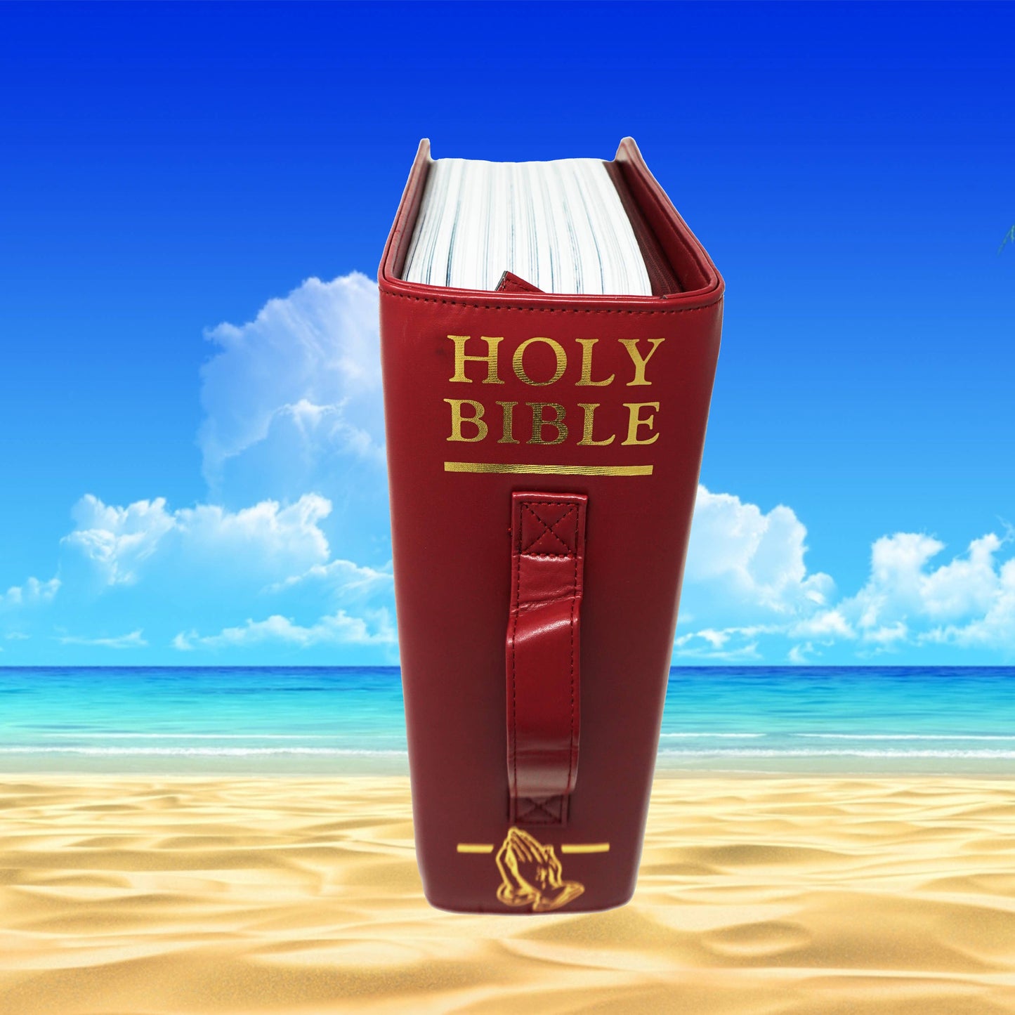 Booze Bible Soft Cooler Bag, Soft Sided Cooler,6 Cans