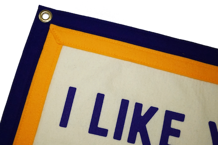 I Like You Just The Way You Are Camp Flag