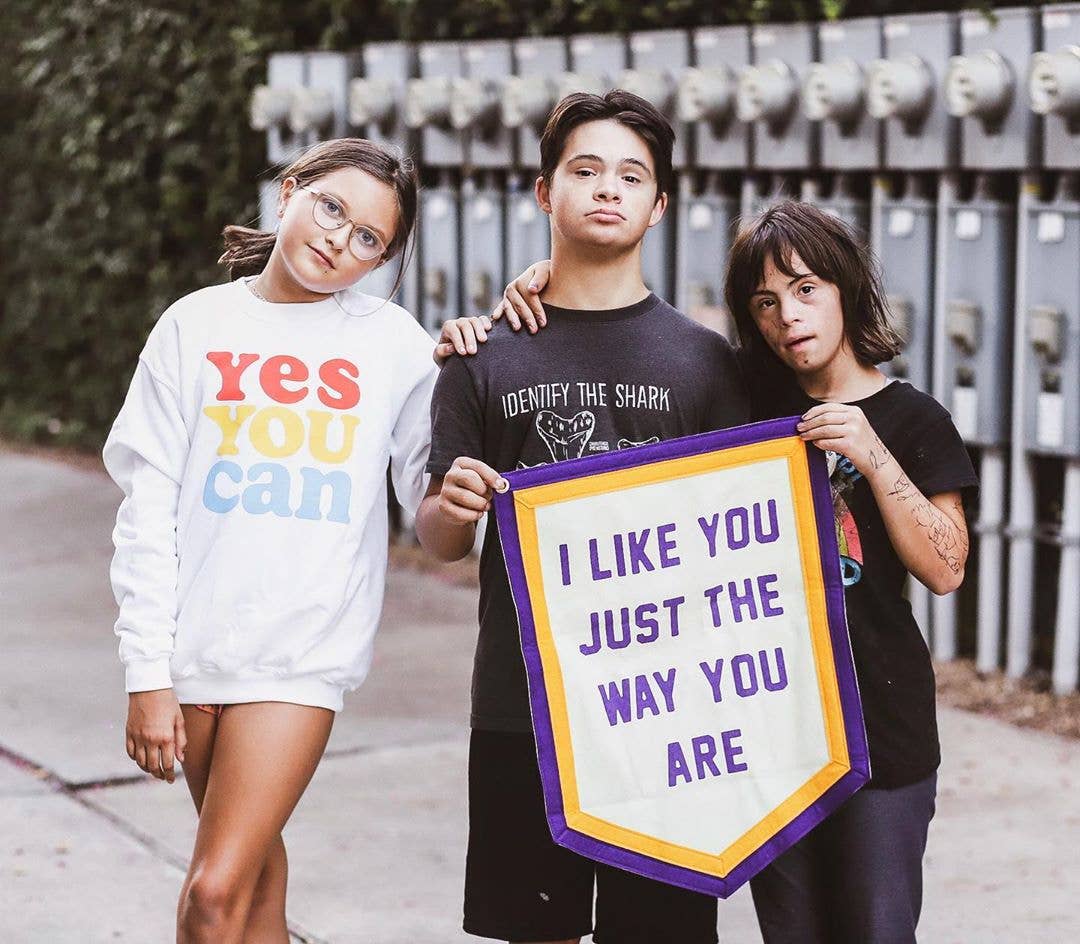 I Like You Just The Way You Are Camp Flag