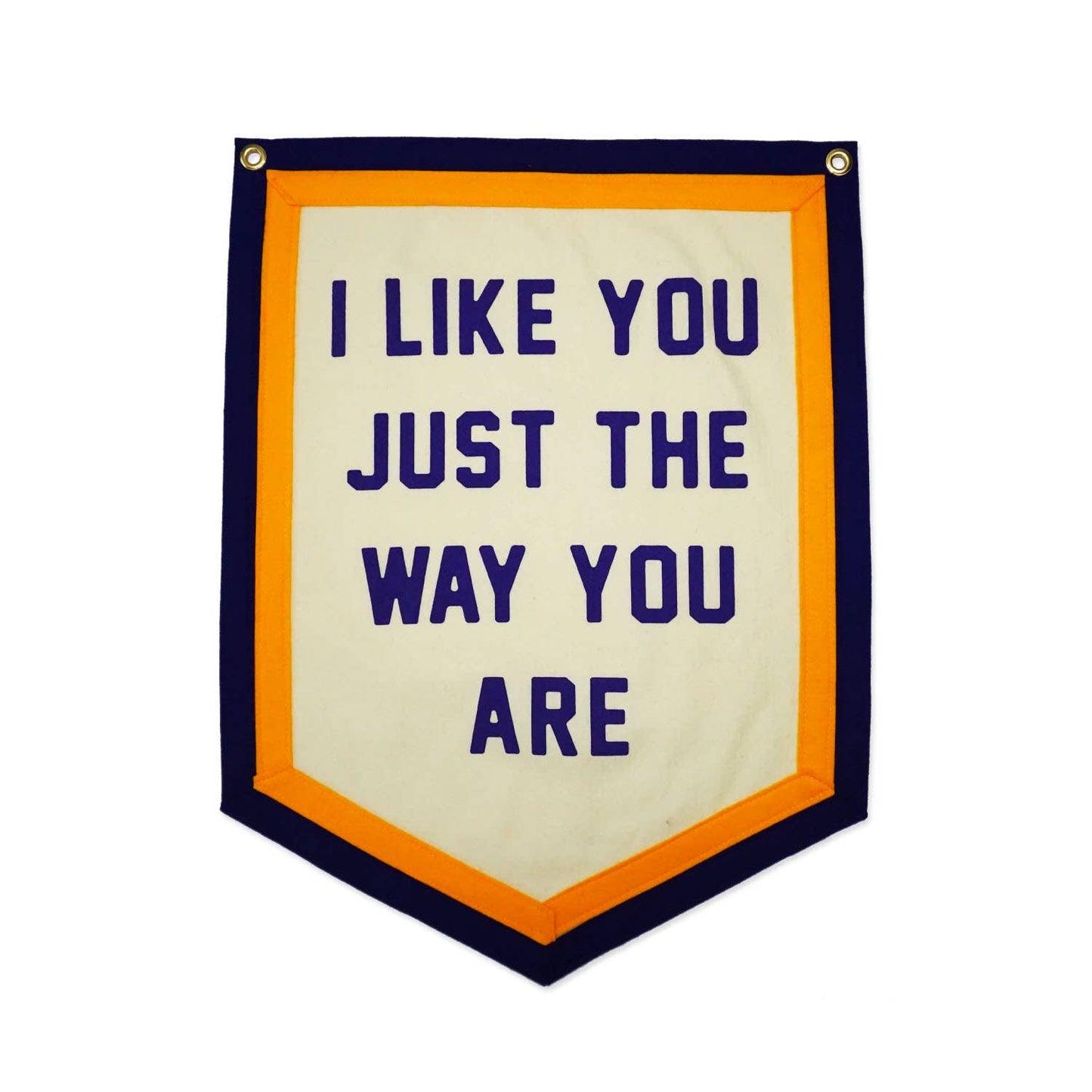 I Like You Just The Way You Are Camp Flag