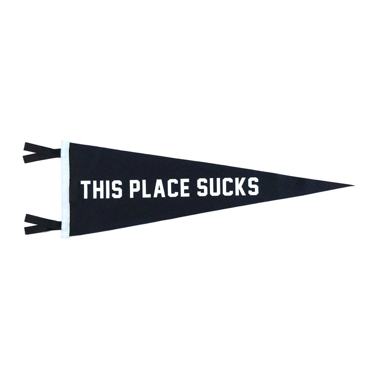 This Place Sucks Pennant