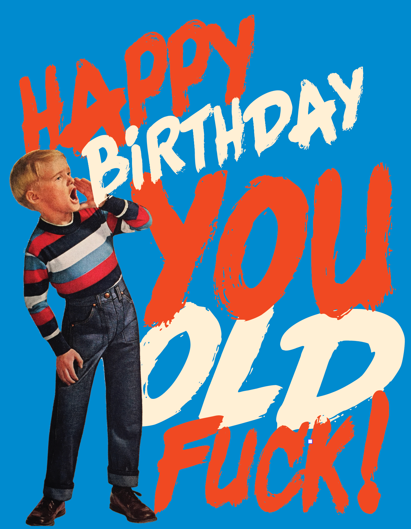 HAPPY BDAY YOU OLD F*CK! Birthday card