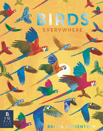 Birds Everywhere Book