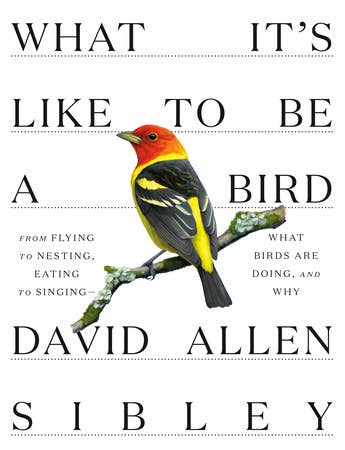 What It's Like To Be A Bird Book